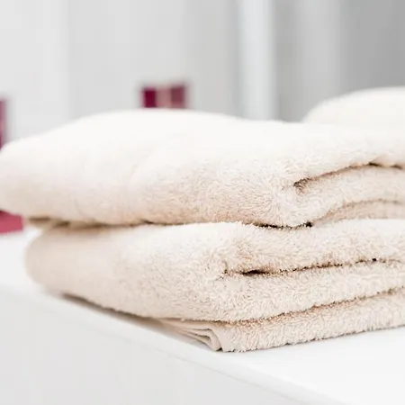 Stilvolle 1-raum-wohnung Zentral, Ruhig Gelegen * 德累斯顿